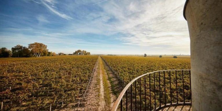 Pichon Longueville Baron